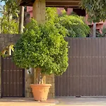 Apartment Alicate