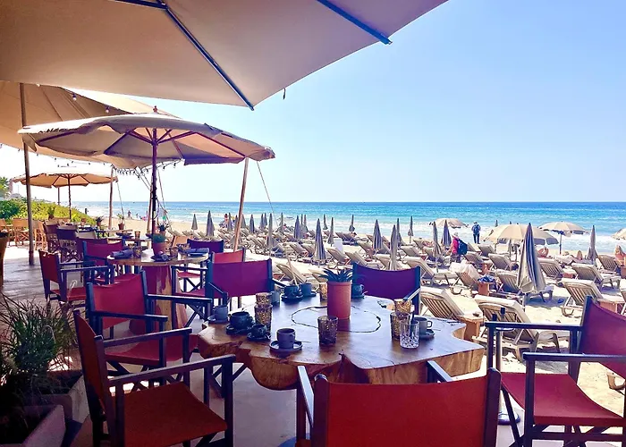 Alicate Apartamento *