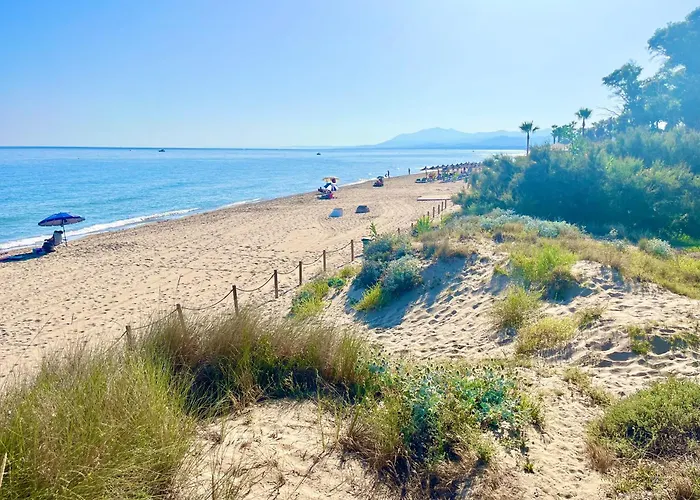 Alicate アパート