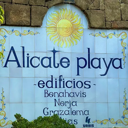 Alicate * ماربيا